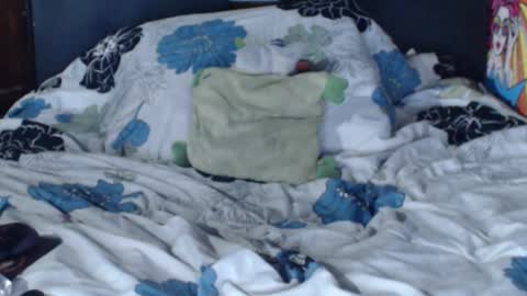 dasha6 online show from February 12, 7:23 am