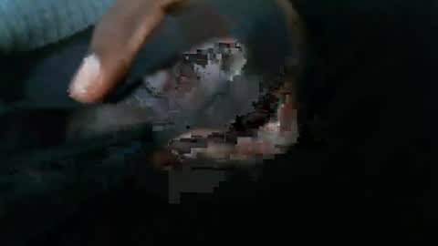 dbizzlenyc online show from February 1, 9:19 pm