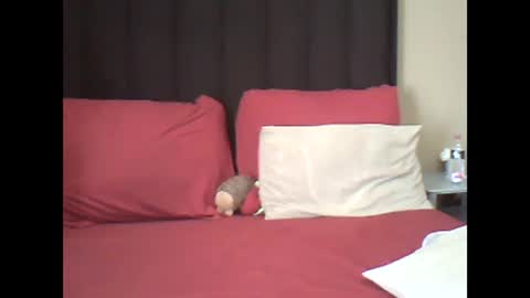 ddboobsnipples online show from March 11, 6:49 am