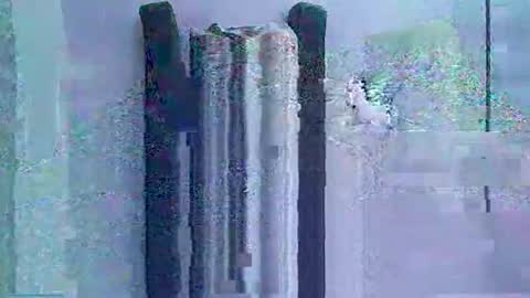 decoyx5o5 online show from April 10, 1:55 am