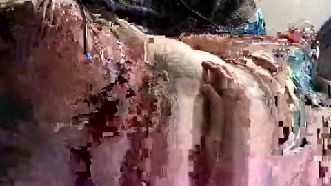 decoyx5o5 online show from January 9, 1:18 am