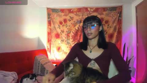 demeter__ online show from March 5, 2:20 am