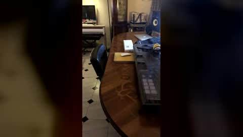 Demonomad online show from March 19, 8:58 pm