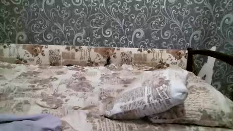 DennisXCarol online show from February 26, 7:42 pm