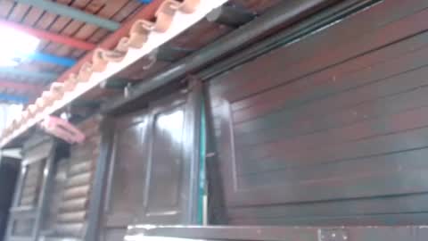 Deybid online show from December 5, 2:28 pm