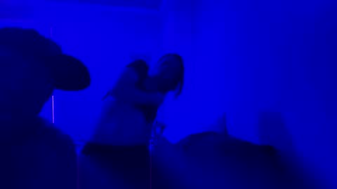 dickerdown1221 online show from December 20, 11:28 am