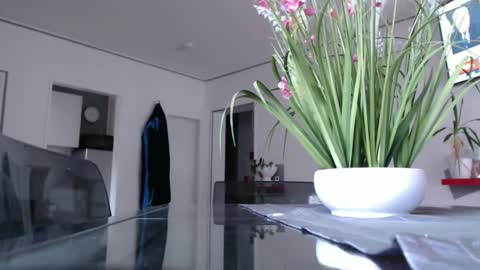 squirtcock online show from December 9, 2:39 pm