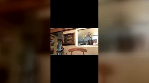 diegodavids online show from April 29, 10:47 pm