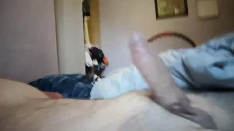 dimebar007 online show from January 21, 8:19 am