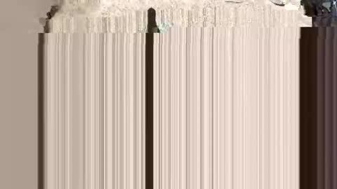 dj9469615 online show from November 23, 8:34 am