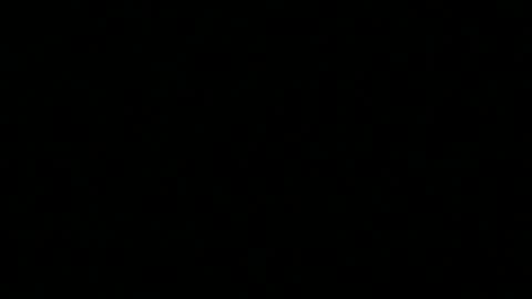 TriflinYoBitch online show from February 28, 9:46 am