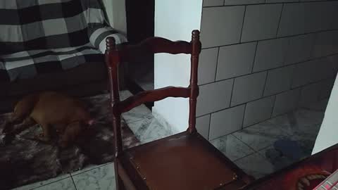 AmigodotadoZL online show from April 25, 8:06 pm