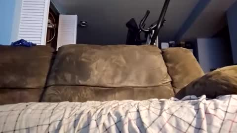 dogbone999081 online show from December 3, 8:48 am