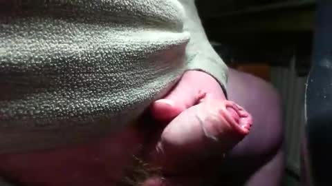 doscard online show from December 14, 11:34 pm