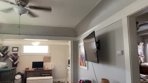 RIRI OR DREAMY online show from April 19, 7:38 pm