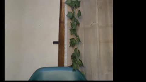 linda online show from February 11, 8:29 am