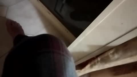 dthedog12 online show from November 6, 12:57 am