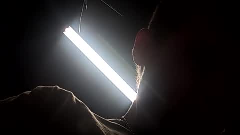 dukester36 online show from April 24, 11:01 am