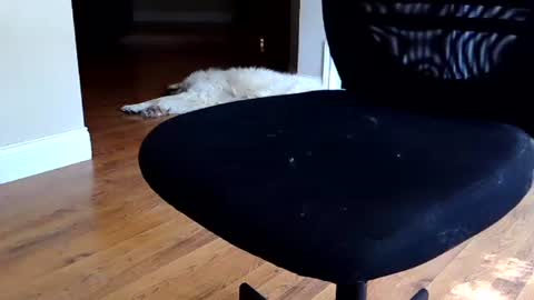 dustin78666 online show from September 11, 9:49 pm