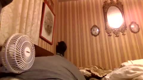 duvalljames341 online show from November 2, 1:49 am