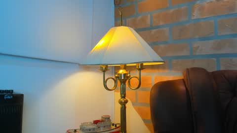 D Y L A N online show from February 26, 1:25 am