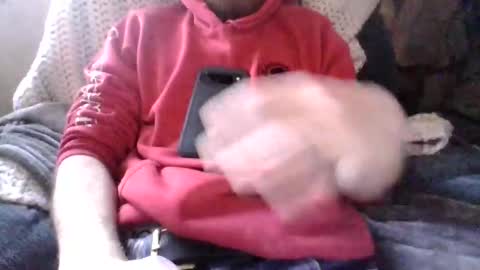 easylog online show from November 22, 8:29 pm