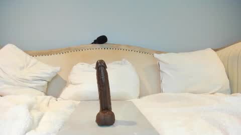 Allison online show from February 25, 7:16 pm