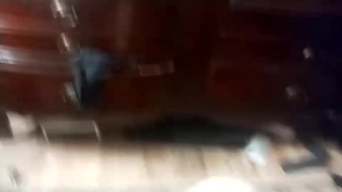 eboy4sale online show from March 1, 11:50 am