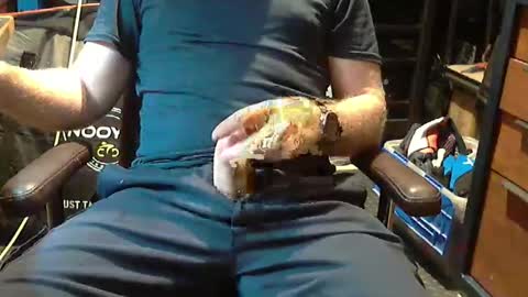 ed2346 online show from February 16, 3:26 am