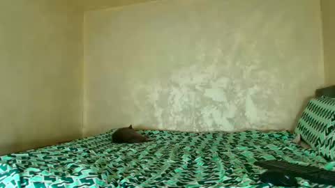 Nomyx  OF check online show from November 14, 6:21 pm