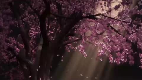 EdenArcadia online show from June 25, 5:12 am