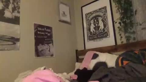 eggnog_and_booty online show from April 29, 11:53 pm