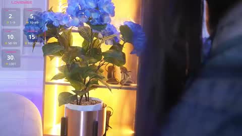 Elasummeer online show from December 2, 12:14 pm