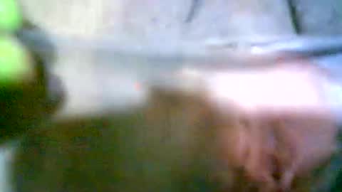 elenah013 online show from November 10, 9:01 am