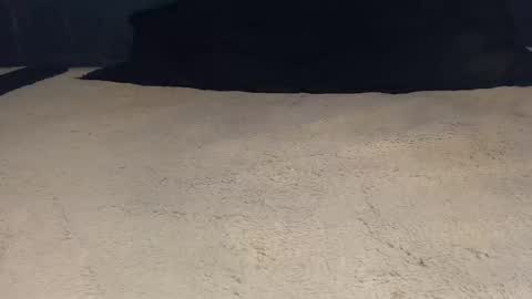 elgsslt online show from April 21, 11:06 am