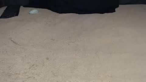 elgsslt online show from February 2, 11:28 am