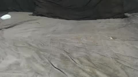 elgsslt online show from November 15, 3:35 pm