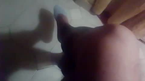 eliant263370 online show from June 19, 1:22 am