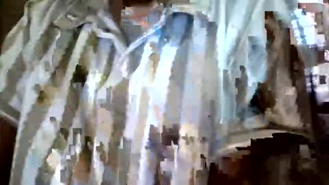 elina_roy03 online show from December 1, 2:31 am