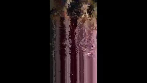 elizabit online show from March 4, 8:44 am