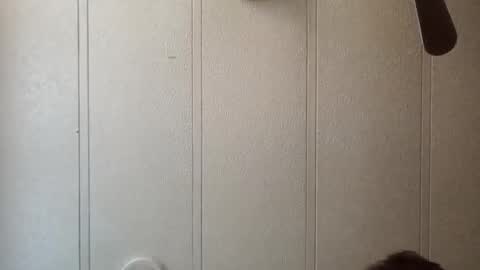 ellebonoparte online show from November 2, 1:00 pm