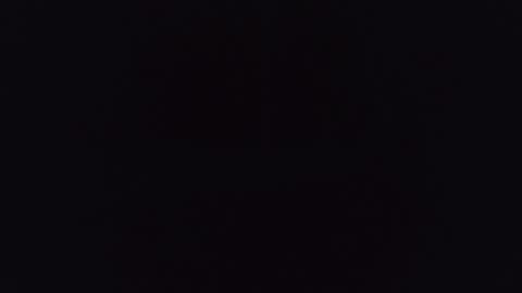 elliesoft online show from November 26, 9:39 am