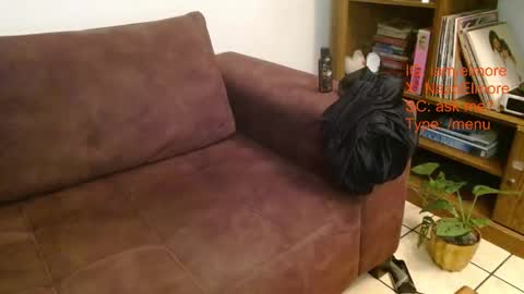 My name is Elmore. Please say hello I like to chat with you. If you have requests or dirty talk please use tip online show from September 19, 4:05 am