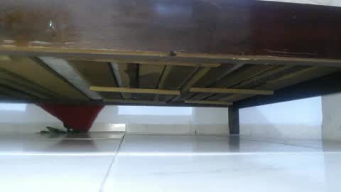 E L Z A  online show from March 4, 3:37 pm