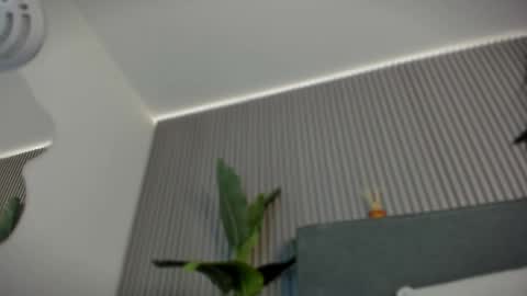 emelie_89 online show from June 6, 11:49 am