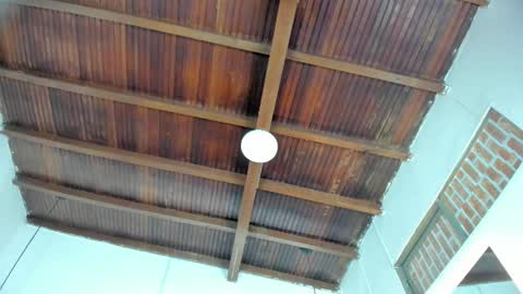 Emily  online show from December 20, 11:06 am