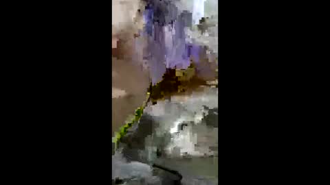 espartanoargenino online show from June 9, 2:22 am