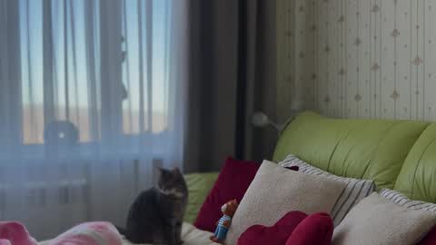 Estella online show from February 3, 6:22 am