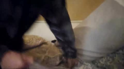 Etherless online show from February 26, 5:24 am