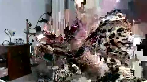 EVA65 online show from October 14, 5:27 pm